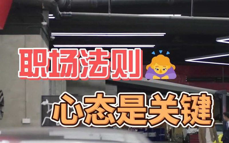 老虎和狐狸的职场故事